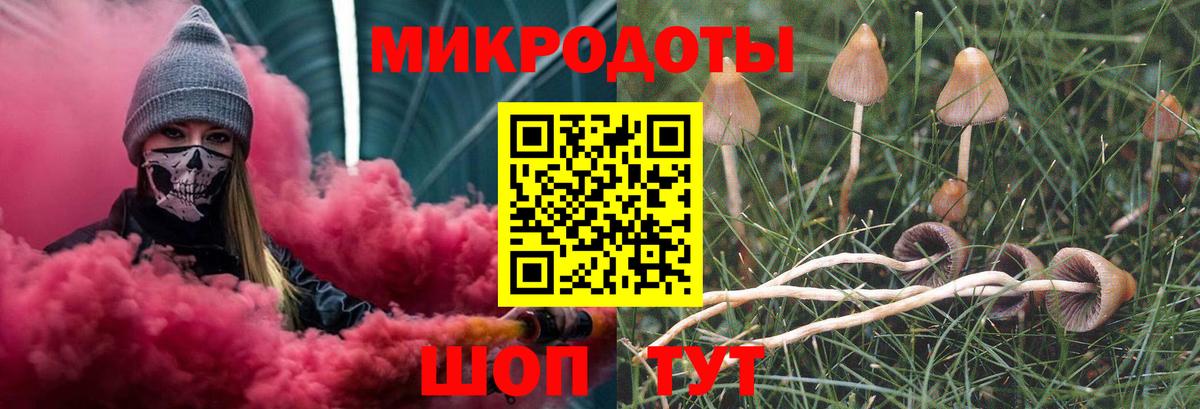Псилоцибиновые грибы GOLDEN TEACHER  Вход с VPN  Липецк  Галлюциногенные грибы мицелий 