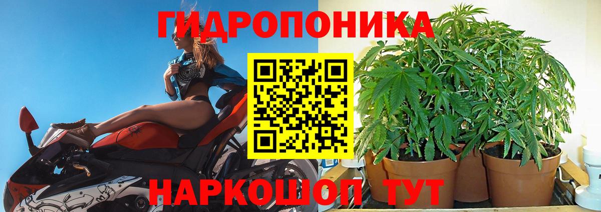Каннабис MAZAR Липецк